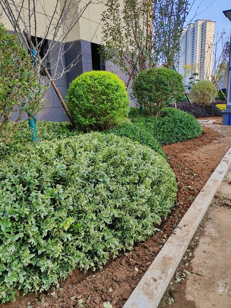 小區(qū)景觀綠化分享 共創(chuàng)宜居生態(tài)家園
