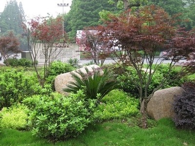 上海園林綠化工程與苗木批發(fā)價格全解析